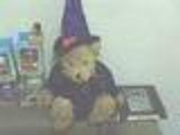 全新泰迪熊含猴子在馬桶裡手機吊飾 歷史價格詳細信息