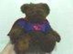 全新泰迪熊含猴子在馬桶裡手機吊飾 歷史價格詳細信息