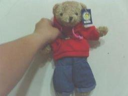 全新泰迪熊 歷史價格詳細信息