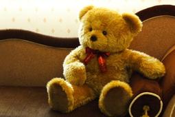 全新正版泰迪熊 歷史價格詳細信息