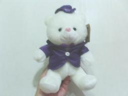 全新學士熊 泰迪熊 畢業熊坐約 20公分 畢業熊 畢業禮物 歷史價格詳細信息