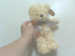 全新可愛熊(高約27公分) 價格比較,價格查詢,歷史價格詳細信息