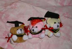 畢業熊花束 皮卡丘花束 P助小雞 高中大學畢業娃娃 卡比獸花束~卡娜赫拉花束~畢業禮物.畢業花束 高雄可自取 歷史價格詳細信息