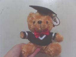 全新泰迪熊(坐約20公分) 歷史價格詳細信息