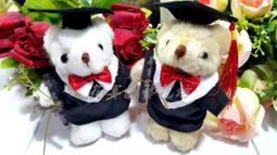 學士熊花束/幼稚園/叮噹花束~卡娜赫拉 畢業花束~ 拉拉熊花束~畢業熊~三眼怪花束~屁桃花束~上台花束可自取 情人禮物 歷史價格詳細信息