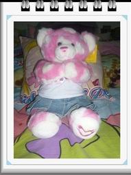 愛心熊彩條背心 春夏新款 寵寵屋BOBOPETS 可愛狗衣服寵物貓咪衣服寵物衣服 寵物用品 歷史價格詳細信息