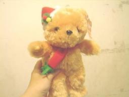 全新泰迪熊(坐約20公分) 歷史價格詳細信息