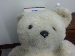 湯尼熊tonybear-凱蒂0-7歲嬰兒汽座(灰色/紅黑)TB1029A 歷史價格詳細信息