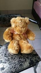 降價 全新Panasonic 國際牌音波電動牙刷 EW-DM81-W(白) 歷史價格詳細信息