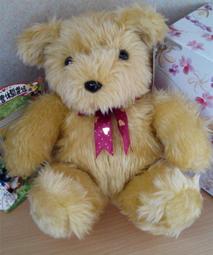 閨密使用說明書：女人間的友情，都伴隨著一點點痛[79折] TAAZE讀冊生活 歷史價格詳細信息