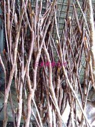 樹枝造型花崗石落地衣帽架(一組) 歷史價格詳細信息