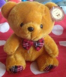 【全新品】泰迪熊娃娃二隻1對╭＊雅雅媽咪小舖＊╯ 歷史價格詳細信息