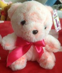 【全新品】泰迪熊娃娃二隻1對╭＊雅雅媽咪小舖＊╯ 歷史價格詳細信息