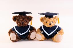 ~*小熊家族*~ 泰迪熊專賣店~26公分聖誕泰迪熊 聖誕禮物 耶誕禮品 裝飾小物 歷史價格詳細信息