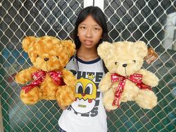 泰迪熊娃娃~泰迪布朗熊玩偶 85~100公分 泰迪熊大娃娃 布朗熊大玩偶 小熊娃娃~ 情人禮物~全省配送 歷史價格詳細信息