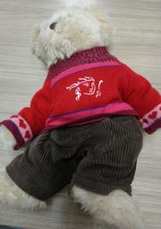 保誠科技~清倉特價 含稅價 紅外線防暴夜視攝影機 監視器 保全 監視 監控 門禁  可變焦 防水 外銷機 CVR TVI 歷史價格詳細信息