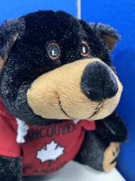 【加拿大旅遊紀念】連帽T泰迪熊 價格比較,價格查詢,歷史價格詳細信息