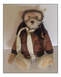 1993年熊貓1/2盎司銀幣，保真沒有外袋子 古玩 老物件 舊藏 -6857 歷史價格詳細信息