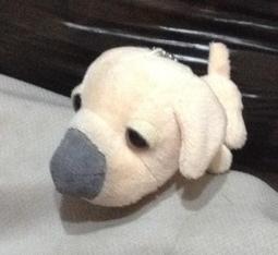 全新大頭狗被動式8吋重低音組~小朋友跟女朋友跟老人家的最愛喔 歷史價格詳細信息