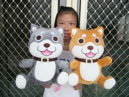 超可爱!!!!哈利波特雪信使貓頭鷹—海德薇，互動玩具 歷史價格詳細信息