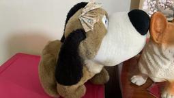 大頭狗填充玩具毛絨玩具情人節畢業禮物 歷史價格詳細信息