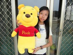 全新維尼抱枕(高約40cm) 歷史價格詳細信息