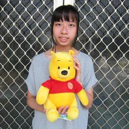 婷芳小舖~熊熊遇見你娃娃 正版熊熊遇見你 熊熊三賤客 大大娃娃 胖達娃娃 阿極娃娃 熊熊遇見你玩偶 棕熊 大熊貓 北極熊 歷史價格詳細信息