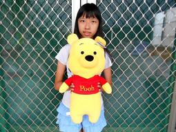 全新維尼抱枕(高約40cm) 歷史價格詳細信息