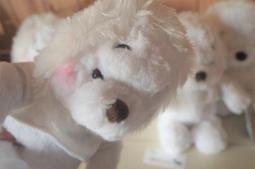 秋冬聖誕氛圍西裝外套很溫暖的一件羊圈圈毛馬海毛混合毛茸茸的手感很厚實配色復古高級衣長61胸 歷史價格詳細信息