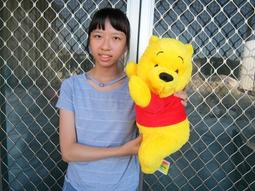 正版迪士尼小熊維尼&amp;amp;piglet, 價格為單隻的價格 歷史價格詳細信息