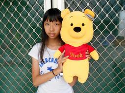 全新維尼抱枕(高約40cm) 歷史價格詳細信息