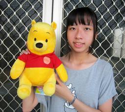 正版迪士尼 小熊維尼 維尼坐姿款點點抱蜂蜜罐 娃娃 玩偶 毛絨娃娃 17英吋 歷史價格詳細信息