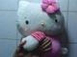 一按就夾抓蟲神器(1入) 歷史價格詳細信息