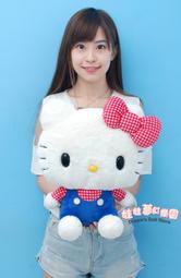 三麗鷗HELLO KITTY凱蒂貓絨毛票卡錢包 收納包 置物包 拉鍊包 絨毛包 歷史價格詳細信息