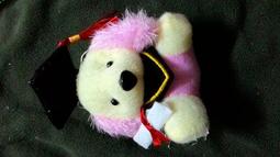 ※花の坊※畢業花束愛心熊※ 畢業熊金莎花束 畢業小熊畢業小禮物愛心熊花束二度進場 結婚花束 訂婚花束 婚宴送客 * 歷史價格詳細信息