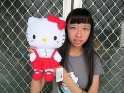 超大kitty玩偶 20吋 kitty絨毛娃娃 正版授權 kitty娃娃 kitty大娃娃 三麗鷗玩偶 歷史價格詳細信息