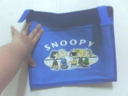 全新 SNOOPY PSN-061 Type-C 小格紋 史努比 紅屋 13000mAh 行動電源 歷史價格詳細信息