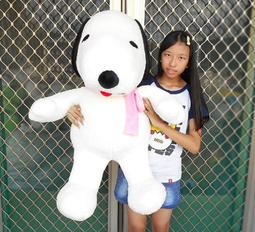 婷芳小舖~大頭熊娃娃~高33公分~湯姆熊/湯姆熊玩偶~非熊大娃娃/熊大玩偶 TOM熊~生日情人禮物~全省配送 歷史價格詳細信息