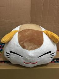 【宅人幫】現貨~日本FURYU景品 浣熊 一起打電腦吧~30CM 歷史價格詳細信息