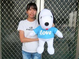 娃娃-史努比 SNOOPY PEANUTS 收藏 正版授權 歷史價格詳細信息