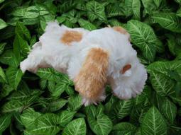 【【SNOOPY史努比史奴比】】可愛絨毛娃娃手機吊飾．附帶子可防止摔掉．日本帶回㊣版 歷史價格詳細信息