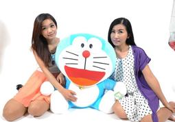 正版哆啦A夢枕頭 可拆洗 台灣製 小叮噹枕頭 哆啦a夢中枕 哆啦a夢雙枕 小叮噹午睡枕 附手提袋 歷史價格詳細信息