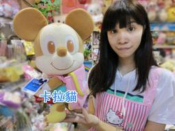 台南卡拉貓專賣店 迪士尼 米奇家族 唐老鴨手提袋 唐老鴨便當袋 可明天到 歷史價格詳細信息