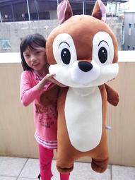 史迪奇娃娃 16吋 柔毛史迪奇娃娃 史迪奇玩偶 史迪奇布偶 Disney 迪士尼星際寶貝 史迪奇抱枕 史迪奇絨毛娃娃 歷史價格詳細信息