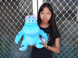 毛怪娃娃~正版版迪士尼~毛怪~怪獸大學~毛怪~高33公分~大眼仔 坐姿毛怪娃娃~生日情人禮物 歷史價格詳細信息