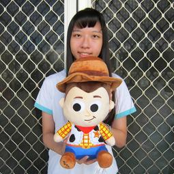 全家 迪士尼 胡迪 雲朵方形枕 歷史價格詳細信息