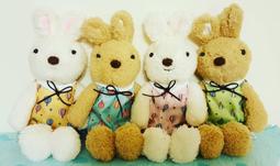 台南卡拉貓專賣店 小兔子水壺 可今天寄明天到 歷史價格詳細信息