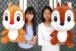 奇奇蒂蒂娃娃 12吋 正版迪士尼 Disney 奇奇玩偶 迪士尼娃娃 花栗鼠 松鼠 奇奇蒂蒂 蒂蒂玩偶 奇奇蒂蒂絨毛娃娃 歷史價格詳細信息