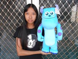 毛怪娃娃~正版版迪士尼~毛怪~怪獸大學~毛怪~高33公分~大眼仔 坐姿毛怪娃娃~生日情人禮物 歷史價格詳細信息