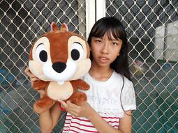 奇奇蒂蒂娃娃 12吋 正版迪士尼 Disney 奇奇玩偶 迪士尼娃娃 花栗鼠 松鼠 奇奇蒂蒂 蒂蒂玩偶 奇奇蒂蒂絨毛娃娃 歷史價格詳細信息